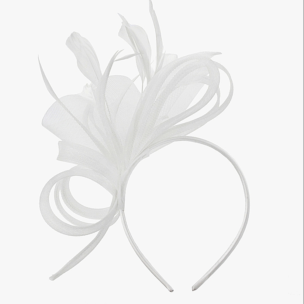 Gorgeous Fascinator Side Loop Feathers Wedding Kentucky Derby Tea Brunch